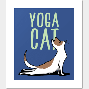 Yoga Cat Posters and Art